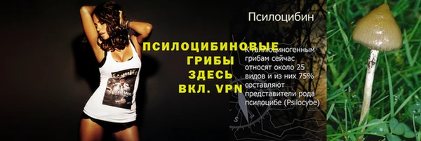 синтетический гашиш Алексеевка